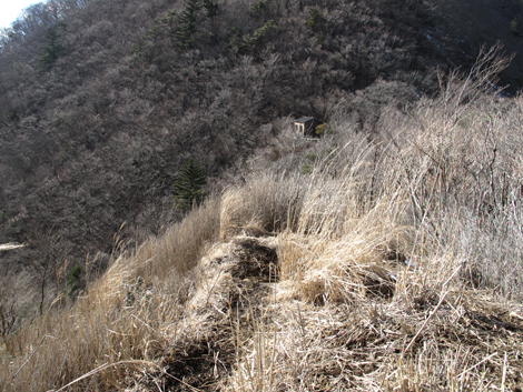20160218hike (505)